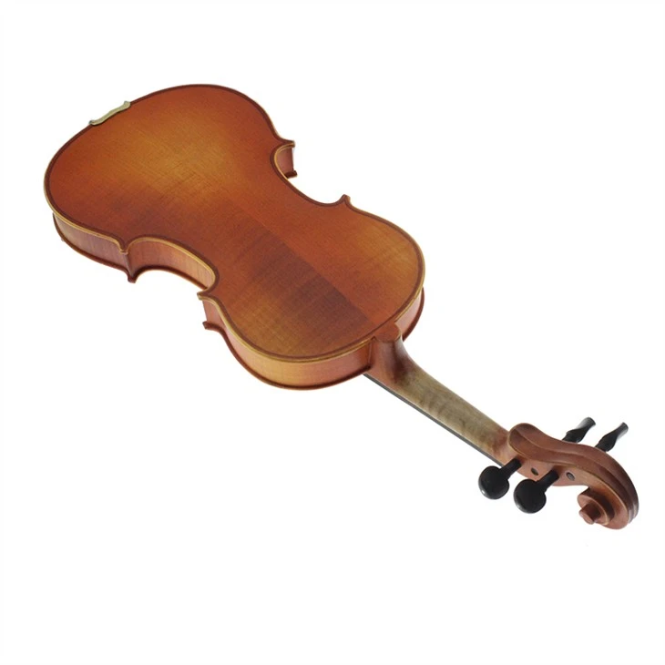 Spruce Wood Eastar Solid Violin With Case