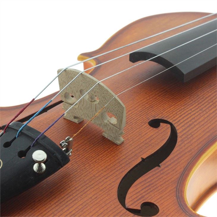 Spruce Wood Eastar Solid Violin With Case