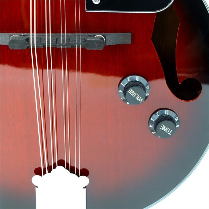 Acoustic-Electric Mandolin: Versatile Tone