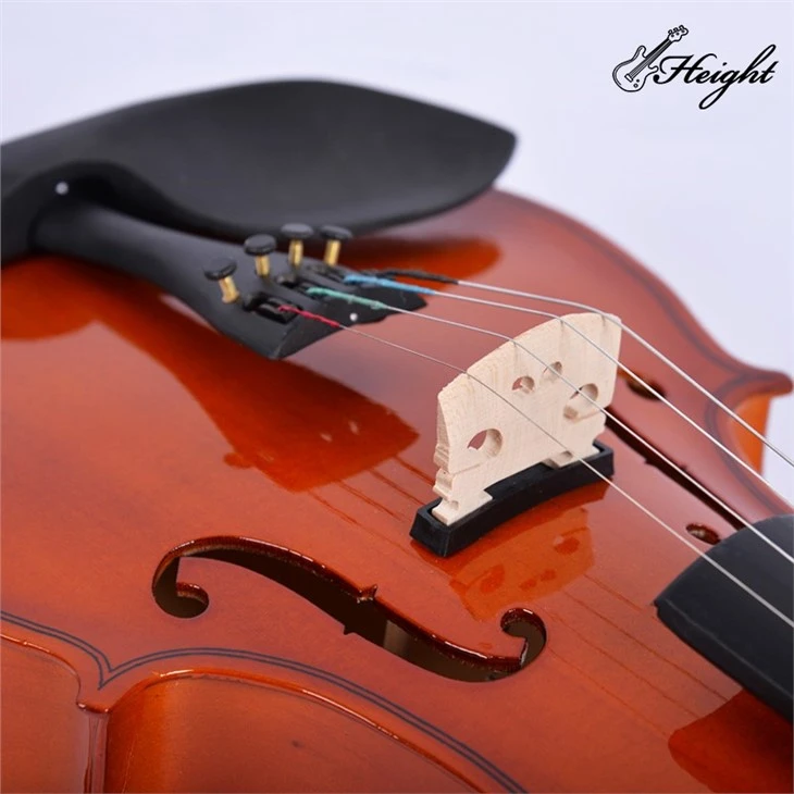 Starter Violin, Wooden Stringed Musical Instrument